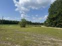 An expansive backyard with mature trees, providing ample space for outdoor activities and relaxation at 364 Jamie Rd., Galivants Ferry, SC 29544