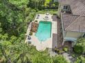 Aerial view of the backyard featuring a large pool, hot tub, and lounge area surrounded by trees at 664 Oxbow Dr., Myrtle Beach, SC 29579