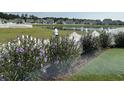 Scenic backyard view with lush greenery, a white picket fence, and a tranquil pond at 8164 Forest Edge Dr., Myrtle Beach, SC 29579