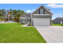 Charming home featuring a two-car garage, manicured lawn, and inviting curb appeal at 110 Brian Oaks Trail, Conway, SC 29527