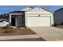 One story home with gray siding, white trim, and a two-car garage at 707 El Pepino Loop, Longs, SC 29568