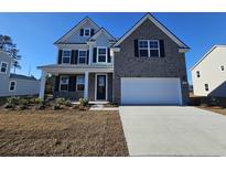 Charming new two-story home featuring a two-car garage, manicured lawn, and classic architectural details at 399 Glacier Way, Conway, SC 29526