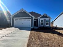 Gray house with white accents and a two-car garage at 909 Anemone Ct Nw, Calabash, NC 28467