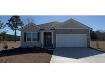 One story house with gray siding, a two-car garage, and a small front yard at 7175 Meadow Walk Loop, Loris, SC 29569