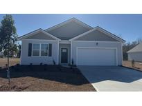 Gray house with a two-car garage and landscaping at 7207 Meadow Walk Loop, Loris, SC 29569