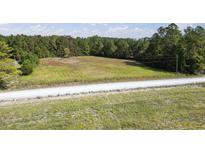 A large plot of land ready for development with easy road access and scenic trees in the background at Tbd Fries Bay Rd., Loris, SC 29569
