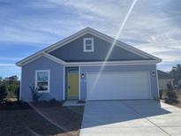 Charming single-story home with blue siding, a yellow front door, and a two-car garage at 405 White Willow Way, Longs, SC 29568