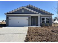 Charming one-story home featuring a two-car garage and a well-maintained front yard at 301 Palmetto Sand Loop, Conway, SC 29527