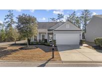 Gray house with white garage door, landscaping, and mailbox at 301 Climbing Vine Ct., Conway, SC 29526