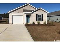 One-story house with beige siding, a blue door, and a driveway at 209 Ashworth Dr., Tabor City, NC 28463