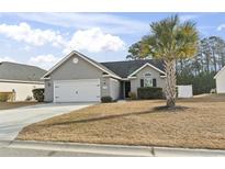 Gray house with white garage door and palm tree in front at 293 Foxpath Loop, Myrtle Beach, SC 29588