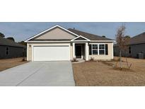 Inviting one-story home with attached garage, manicured lawn, and charming curb appeal at 6044 Fuller Ridge Ct, Conway, SC 29526