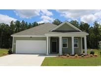 Charming one-story house with a green exterior, white garage door, and landscaped lawn at 201 Jeff Waters Circle, Longs, SC 29568