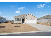 One-story house with a white garage door and landscaped lawn at 3923 Nandina Ct., Conway, SC 29526
