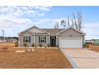 Charming single-story home boasts a well-manicured lawn and a two-car garage with a blue sky backdrop at 421 Sunforest Way, Conway, SC 29526