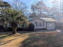 Beige house with green roof, palm tree, and yard at 334 Lincolnshire Dr., Georgetown, SC 29440