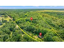 Aerial view showing home location on wooded lot at 3593 S Island Rd., Georgetown, SC 29440