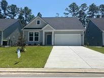 Charming single-story home with a well-manicured lawn and a two-car garage at 456 Sun Colony Blvd., Longs, SC 29568