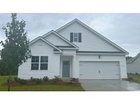 Charming single-Gathering home featuring a two-car garage, a manicured lawn, and a pleasant light-green front door at 141 Leyland Cypress Dr, Conway, SC 29527