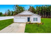 Charming single-story home features a manicured lawn, concrete driveway, and an attached one-car garage at 519 Grass Fern Ct., Longs, SC 29568