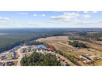 Beautiful aerial view of a quaint neighborhood with homes surrounding a large pond with green trees at 825 Payne Ct., Conway, SC 29526