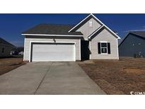 Charming single-Gathering home with gray siding, attached garage and concrete driveway at 661 Castillo Dr., Loris, SC 29569
