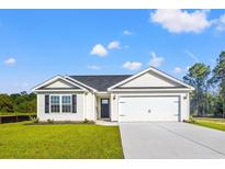Charming single-story home with a well-manicured lawn and a two-car garage at 342 Barn Owl Way, Conway, SC 29527