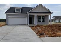 Charming single-Gathering home featuring a two-car garage and neutral-toned exterior with modern architectural details at 155 Joyce Dr, Longs, SC 29568