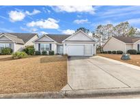 Charming single-story home with a well-manicured lawn and a spacious driveway at 206 Balsa Dr., Longs, SC 29568