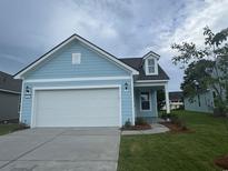 Charming single-story home featuring light blue siding and a white two-car garage under a cloudy sky at 1229 Lady Bird Way, North Myrtle Beach, SC 29582