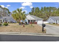 Charming single-story home with a well-maintained front yard, palm tree, and an attached garage at 248 Upper Saddle Circle, Conway, SC 29526
