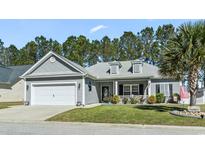 Charming single-story home with a well-manicured lawn and attached two-car garage at 334 Marino Trail, Longs, SC 29568