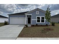 Charming single-story home with light blue siding, attached garage, and well-maintained landscaping at 247 Warner Crossing Way, Loris, SC 29569
