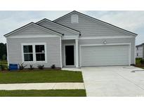 Charming single-story home with gray siding, a two-car garage, and well-manicured lawn at 1373 Palm Springs Paloma Dr, Longs, SC 29568
