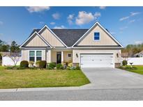 Charming one-story home with manicured lawn, tidy landscaping, and a two-car garage on a sunny day at 318 Board Landing Circle, Conway, SC 29526