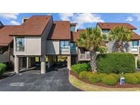 Beautifully landscaped townhouse featuring a modern design with a well-manicured lawn and a spacious driveway at 12 Spartina Ct. # 2, Pawleys Island, SC 29585