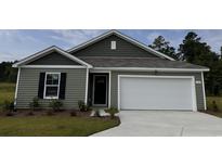 Charming single-Gathering home with a two-car garage and professionally landscaped yard at 144 Ashworth Dr., Tabor City, NC 28463