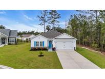 Charming single-story home with a well-manicured lawn, blue shutters, a matching door, and an attached garage at 3004 Fiddler Ct., Loris, SC 29569