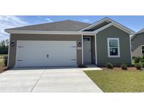 Charming home featuring a two-car garage, muted siding, and well-manicured lawn, creating inviting curb appeal at 958 Oak Hollow St., Longs, SC 29568