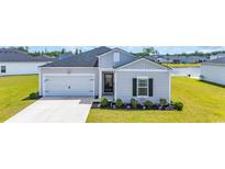 Charming single story home featuring an attached garage, inviting curb appeal, and well-manicured landscaping at 366 Fennec Loop, Conway, SC 29526