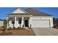Charming single-story home with a well-maintained front yard and an attached two-car garage at 719 Chazen Way, Longs, SC 29568