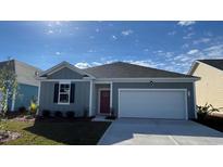 Charming one-story home featuring vertical siding, a two-car garage, and a well-manicured front yard under a sunny sky at 384 Rookroost Circle, Conway, SC 29526