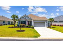 Charming home with manicured lawn, palm trees, and an American flag waving in the breeze at 179 Hyacinth Loop, Murrells Inlet, SC 29576