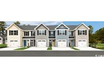 Charming new townhomes with Hardie siding, paired garages, and professionally landscaped yards at 355 Myrtle Meadows Dr # B, Conway, SC 29526