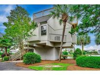 Unique elevated home with a rooftop deck surrounded by lush greenery and a tranquil waterside view at 24 Frigate Ct., Pawleys Island, SC 29585