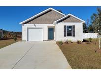 Charming one-story home with a well-maintained lawn and an attached garage, offering comfortable suburban living at 1009 Garden Sprout Dr, Galivants Ferry, SC 29544