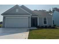 Charming single-story home featuring a two-car garage and well-manicured lawn at 1000 Lady Bird Way, North Myrtle Beach, SC 29582