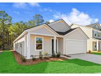 Charming single-story home with attached garage, manicured lawn, and fresh landscaping for enhanced curb appeal at 1230 Willow Oaks Way, Conway, SC 29526