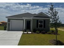 Charming single-story home with green siding, an attached garage and manicured front lawn at 597 Strawberry Field Way, Galivants Ferry, SC 29544