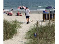 A serene beach scene with an adult and a dog walking near the ocean at 1432 Seahouse Ct., Surfside Beach, SC 29575